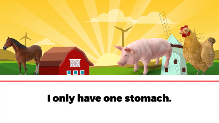 Am I The Answer Farm Edition