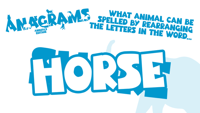 Anagrams: Animals Edition