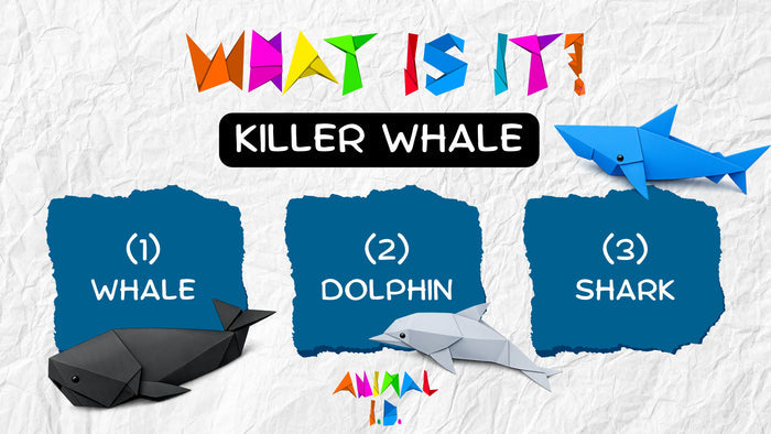 Animal ID