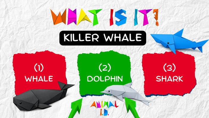 Animal ID