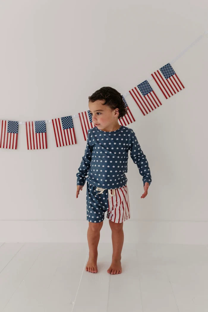 BabySprouts Boys Swim Shorts | American Flag