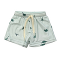 Babysprouts Clothing Company Boy's Swim Shorts | Dinosaur