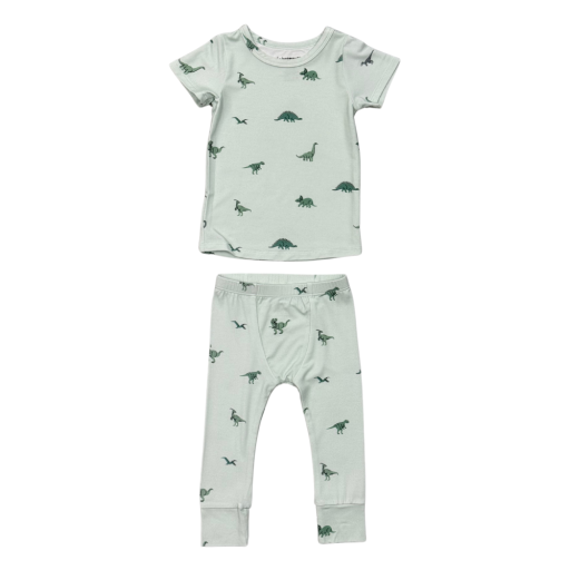 Babysprouts Clothing Company Short Sleeve Lounge Set | Dinosaur