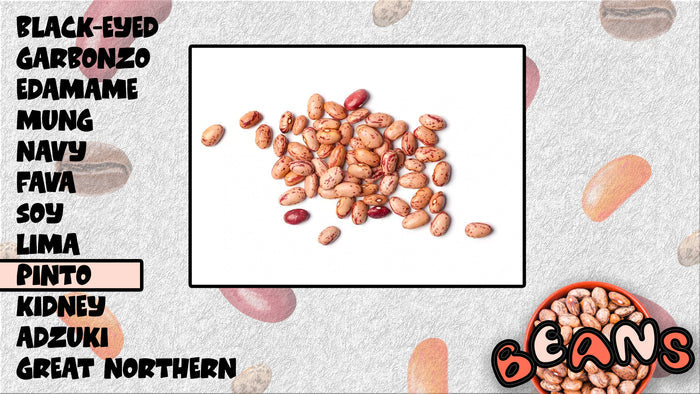 Beans