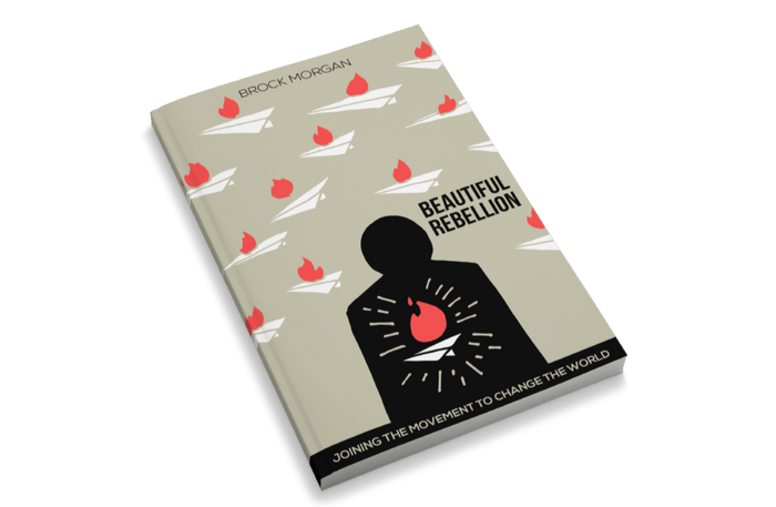 Beautiful Rebellion: Joining the Movement to Change the World