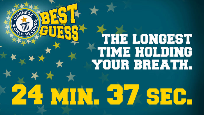 Best Guess: World Records