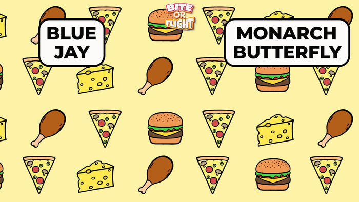 Bite Or Flights