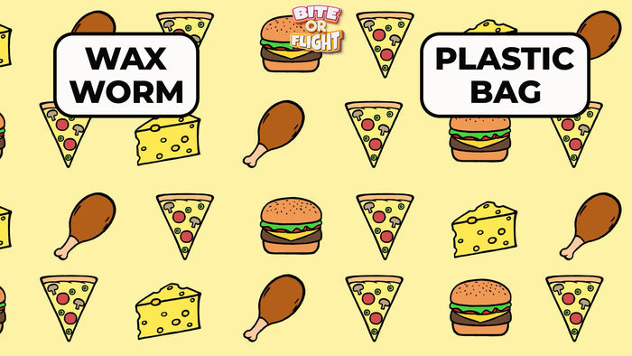 Bite Or Flights