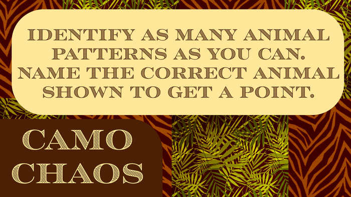 Camo Chaos