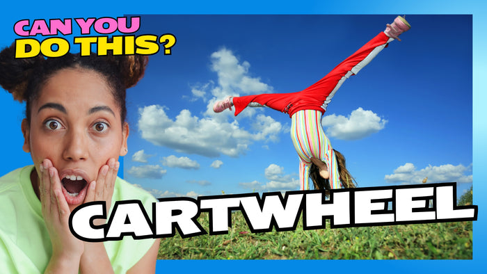 Can You Do This?