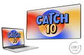 Catch 10