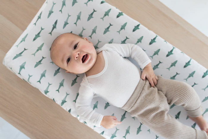 Copper Pearl Premium Knit Diaper Changing Pad Cover | Pacific
