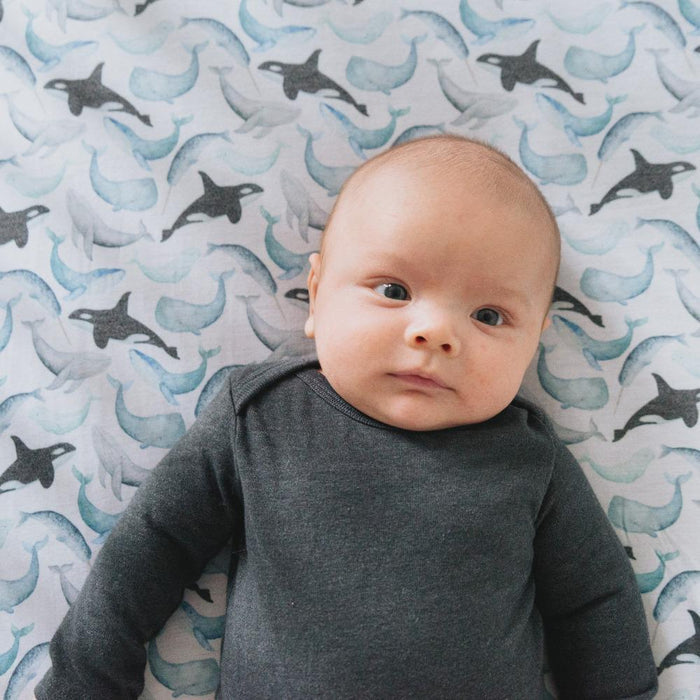 Copper Pearl Premium Knit Fitted Crib Sheet | Kai