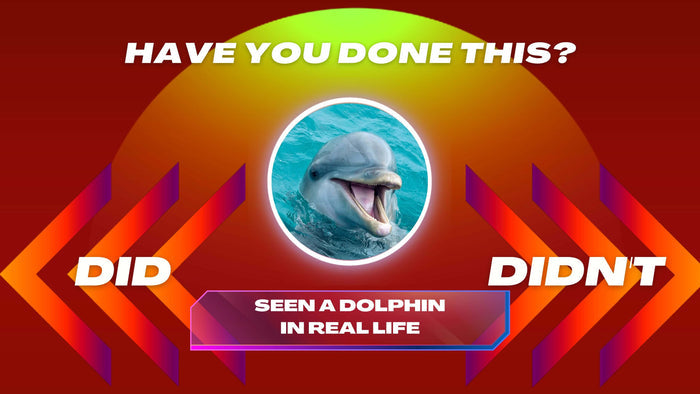 Did / Didn't: Volume 2