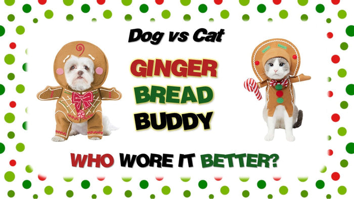 Dog vs Cat: Who Wore It Better Christmas Edition