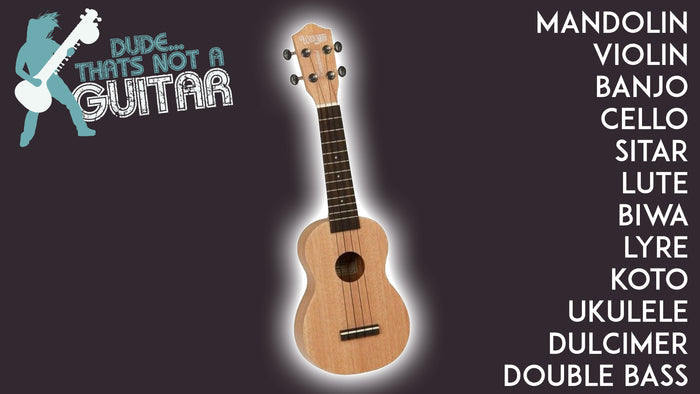 Dude... That's Not a Guitar