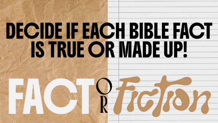 Fact Or Fiction Bible Edition