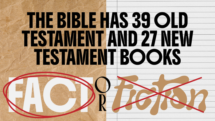 Fact Or Fiction Bible Edition