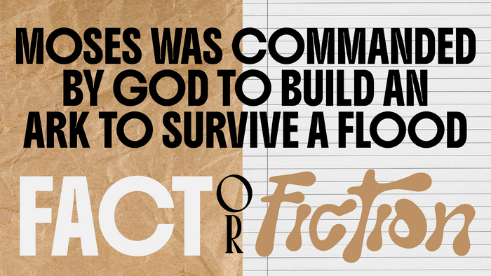 Fact Or Fiction Bible Edition
