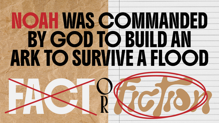 Fact Or Fiction Bible Edition