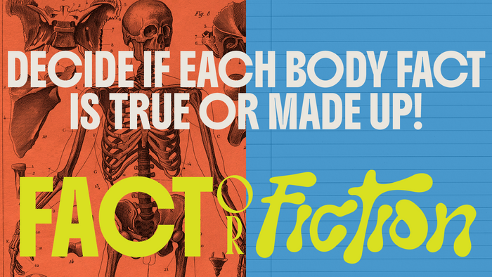 Fact Or Fiction Human Body