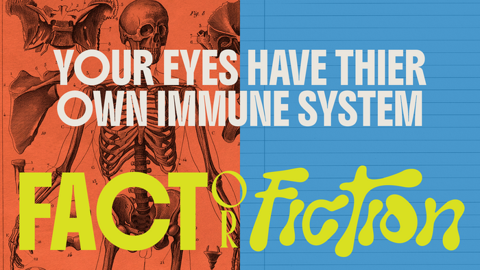 Fact Or Fiction Human Body