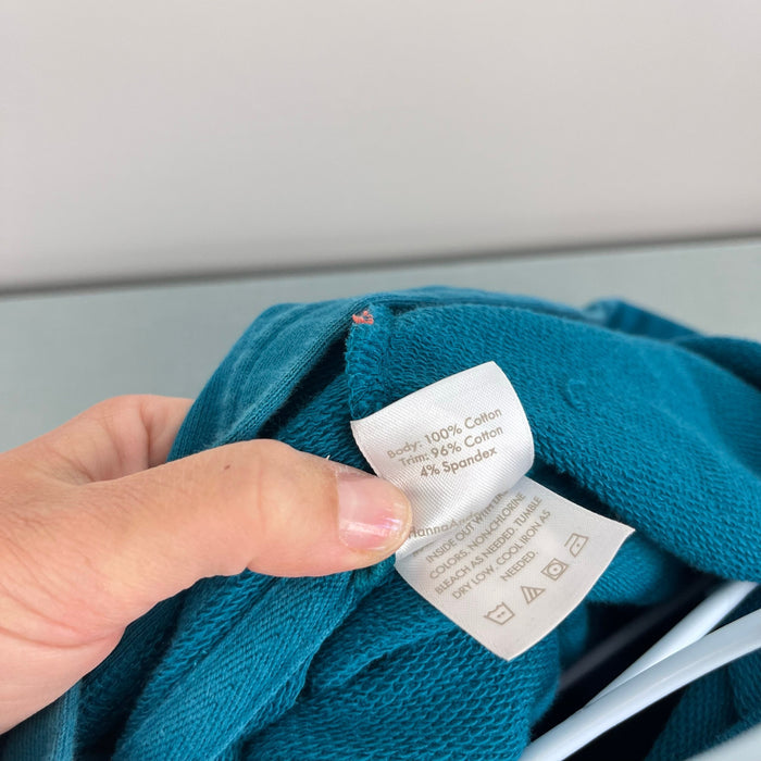 Hanna Andersson Dino Sweatshirt in French Terry Trek Teal 120 cm 6-7