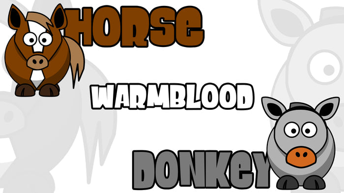 Horse or Donkey