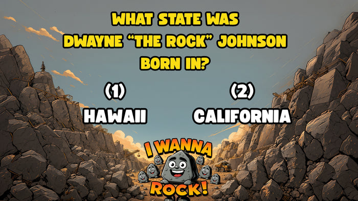 I Wanna Rock