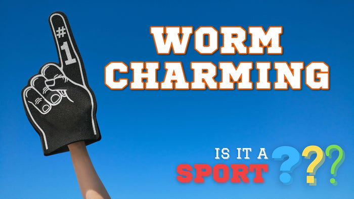 Is It A Sport? Volume 2