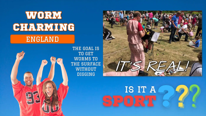 Is It A Sport? Volume 2