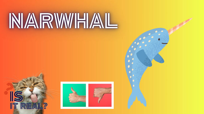 Is it Real? Animals Edition