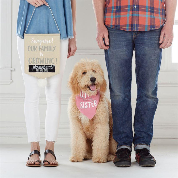 Mud Pie Pink Pet Prop Announcement