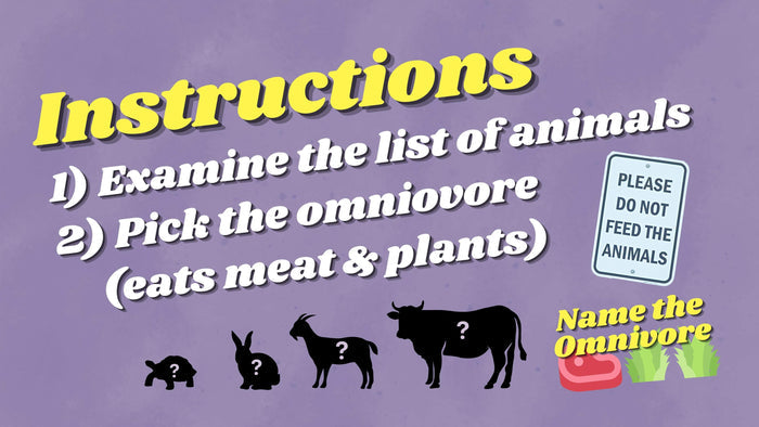 Name The Omnivore