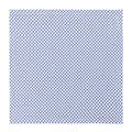 Page Blue Euro Flange Sham