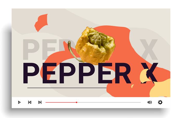 Pepper-X