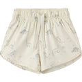 Quincy Mae Boys Swim Short Dinosaur