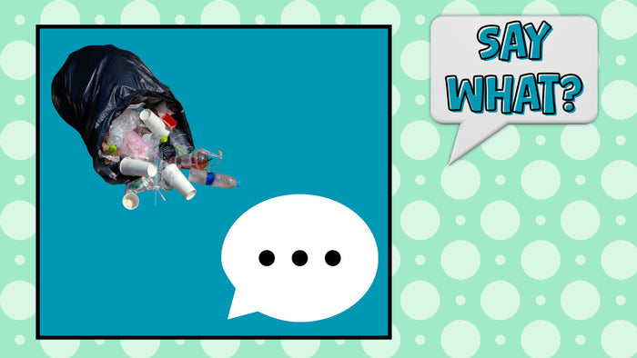 Say What? - Things We Say
