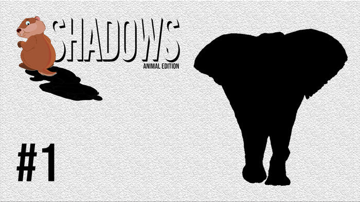 Shadows: Animal Edition