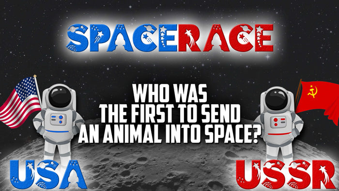 SpaceRace