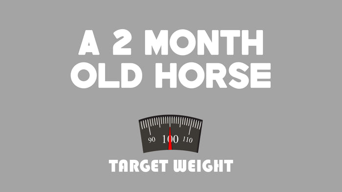 Target Weight 100
