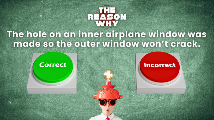 The Reason Why