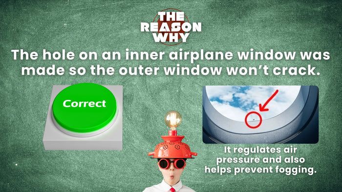 The Reason Why