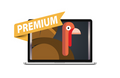 Turkey Pop