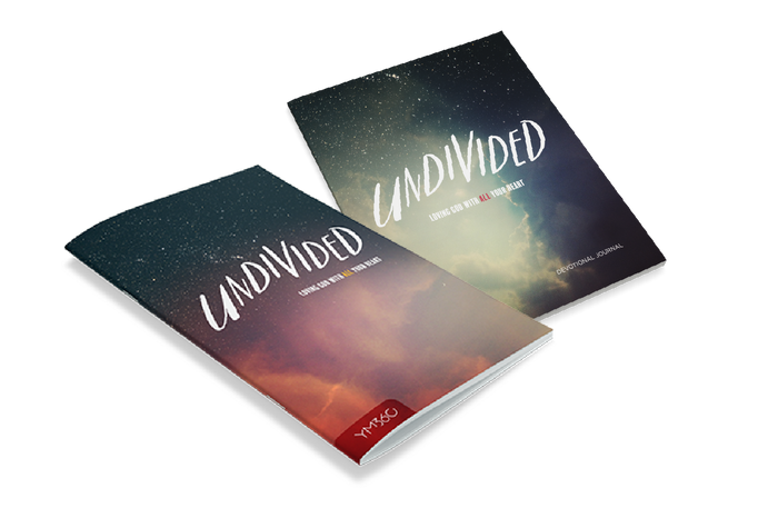 Undivided Book Bundle