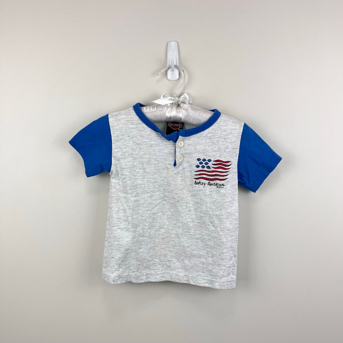 Vintage Harley Davidson Gray Blue Flag T-Shirt Toddler USA