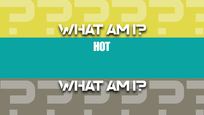 What Am I?