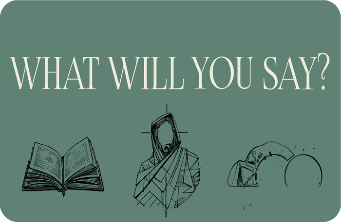 What Will You Say? – Teaching Series