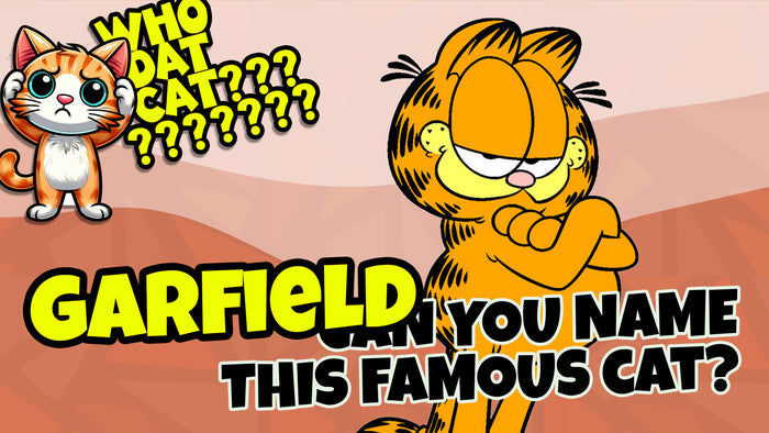 Who Dat Cat?