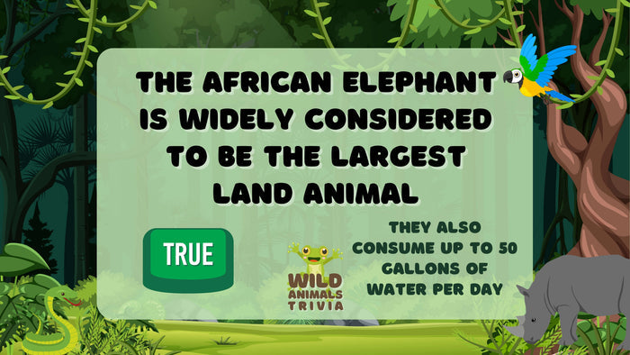 Wild Animals Trivia